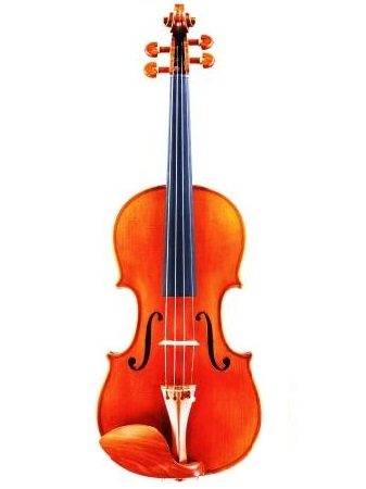 Pygmarius ’Specialita’ Violin</br>ピグマリウス　スペチャリタ